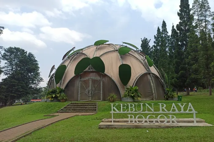 Spot Wisata Alam di Bogor dengan Pemandangan Menakjubkan