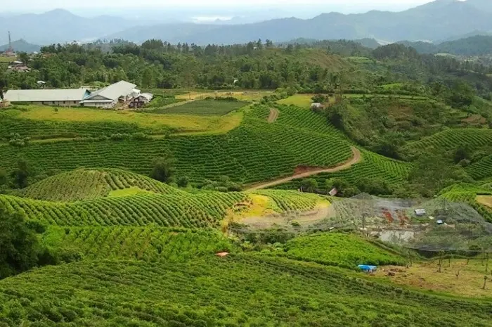 10 Tempat Wisata Mempesona di Gowa yang Harus Dikunjungi