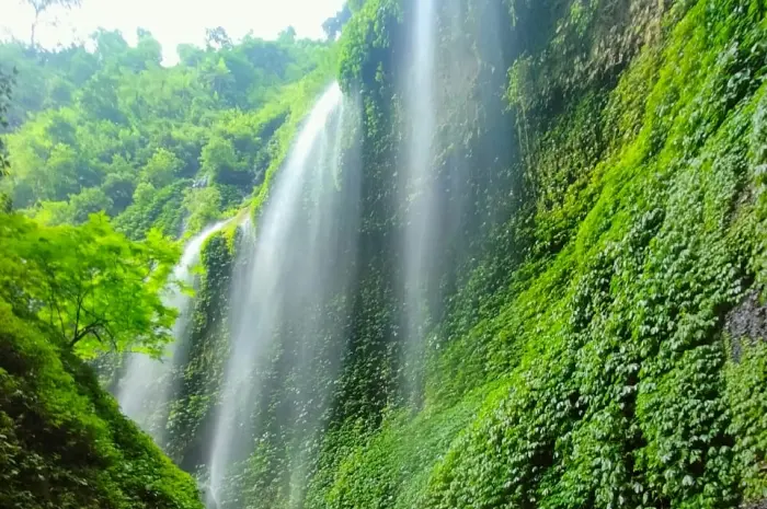 Air Terjun Madakaripura, Destinasi Seru di Probolinggo untuk Menikmati Keindahan Alam