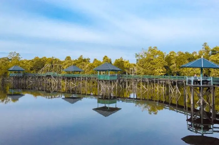 Danau Tahai di Palangkaraya: Destinasi Wisata Eksotis dengan Air Berwarna Merah Unik
